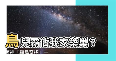 如何趕走鳥巢|【鳥 築巢 趕走】鳥兒霸佔我家築巢？超神「驅鳥奇招。